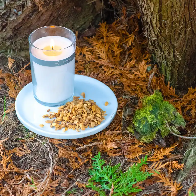 palo santo petal topped candle - red flower