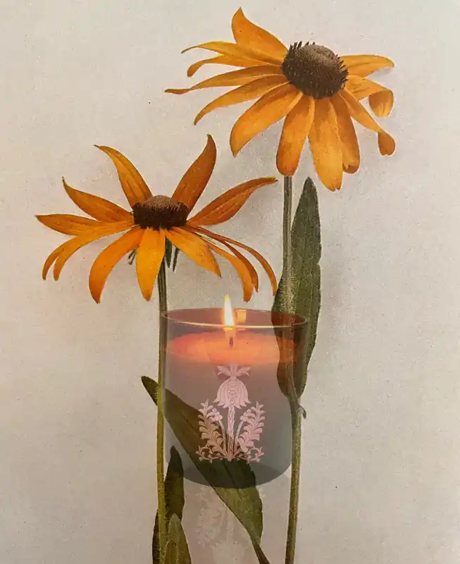 Orchard Sun Candle - THE QUIET BOTANIST