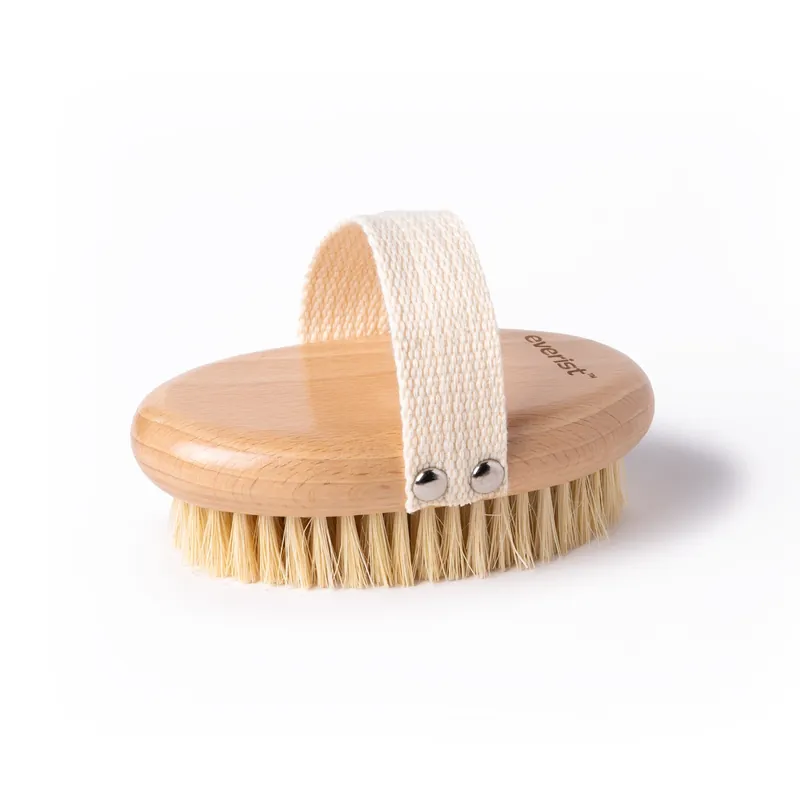 The Dry Brush - Everist